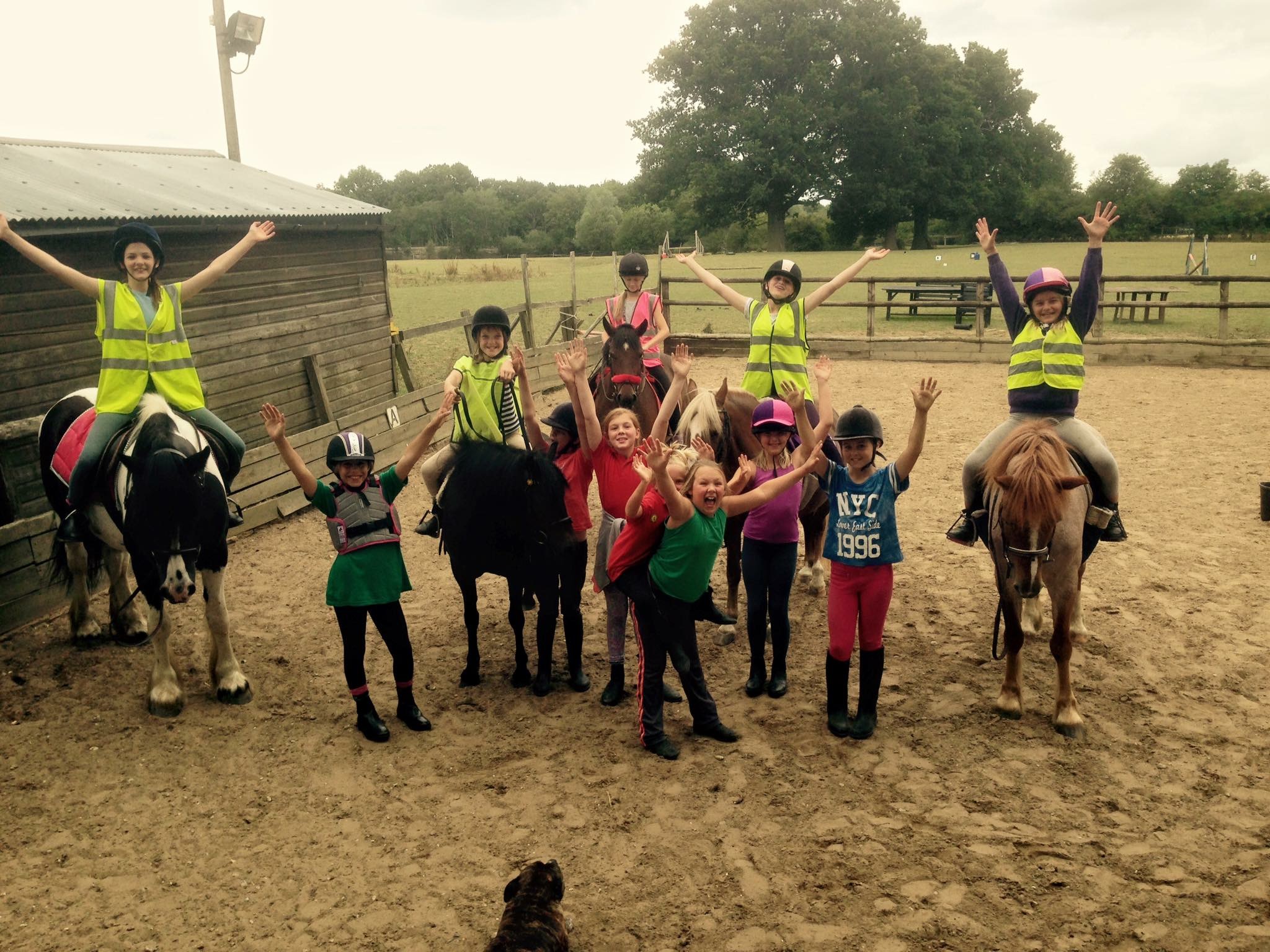 Own A Pony Day